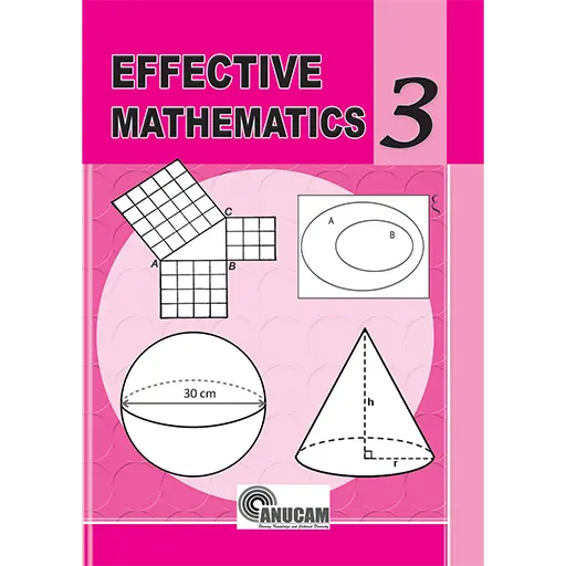 Effective Mathematics Book 3